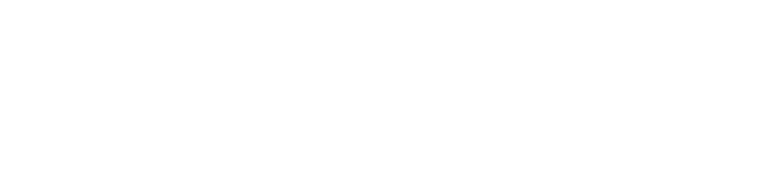 Epiction Interactive