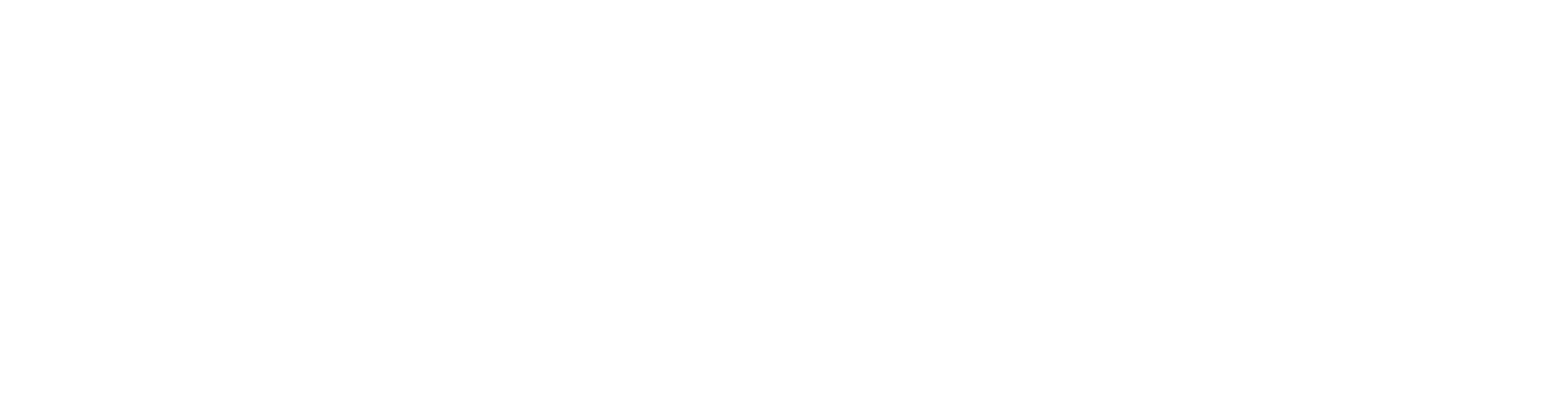 Epiction Interactive